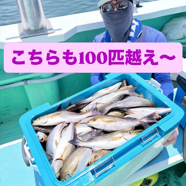 イサキ