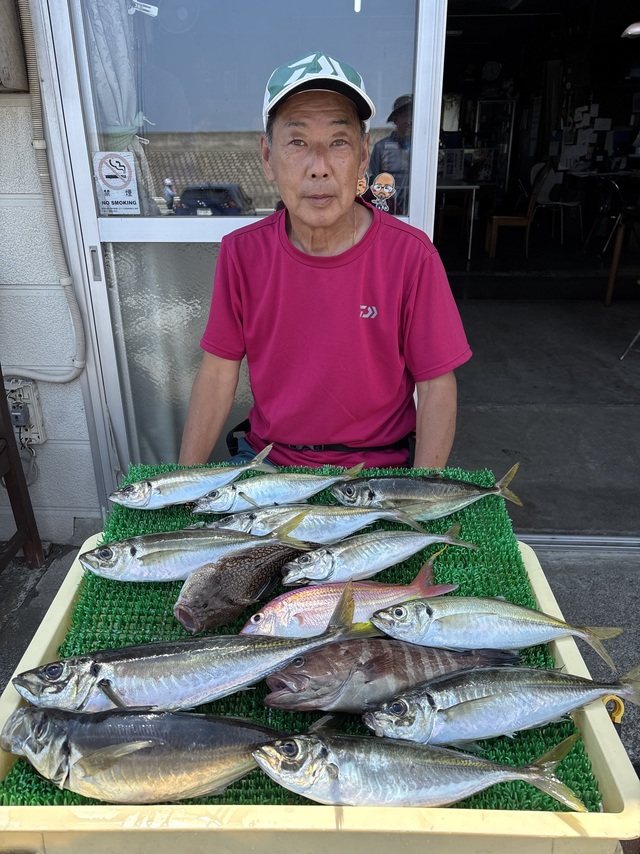 アジ(マアジ)
