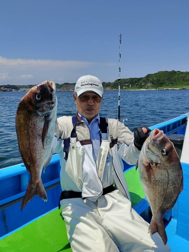 マダイ