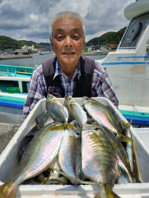 アジ(マアジ)