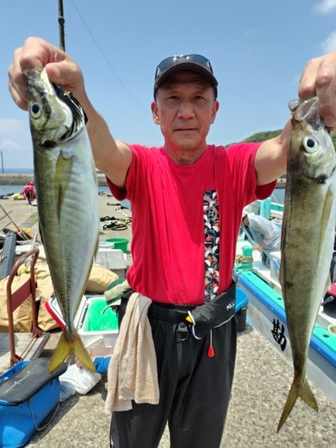 アジ(マアジ)