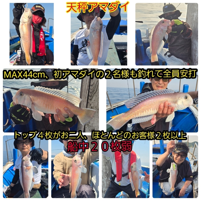 シロアマダイ