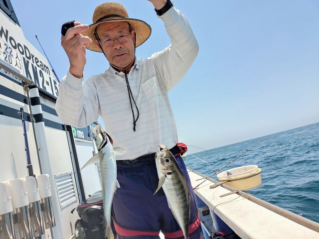 アジ(マアジ)