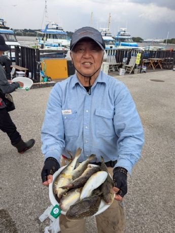 ショウサイフグ