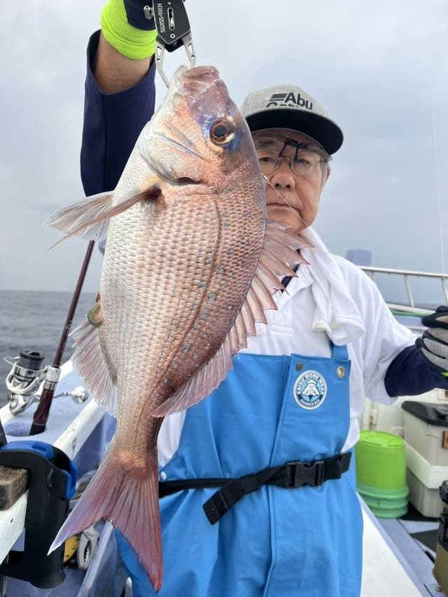 マダイ