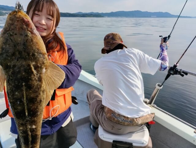 マゴチ