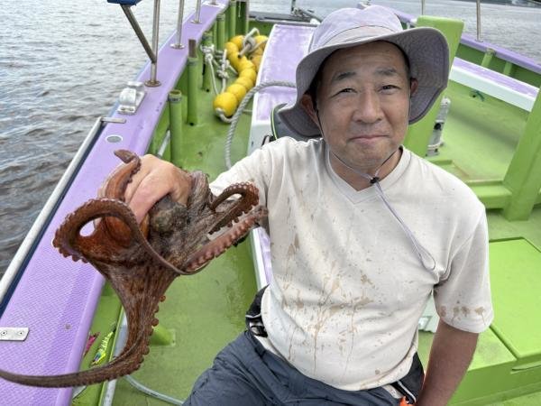 マダコ
