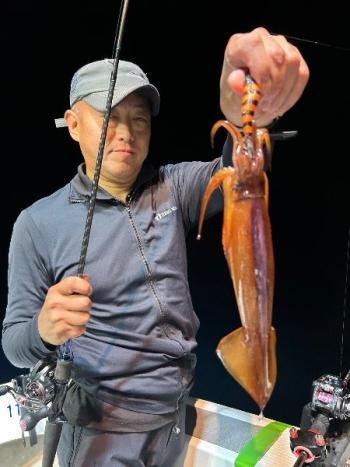 スルメイカ