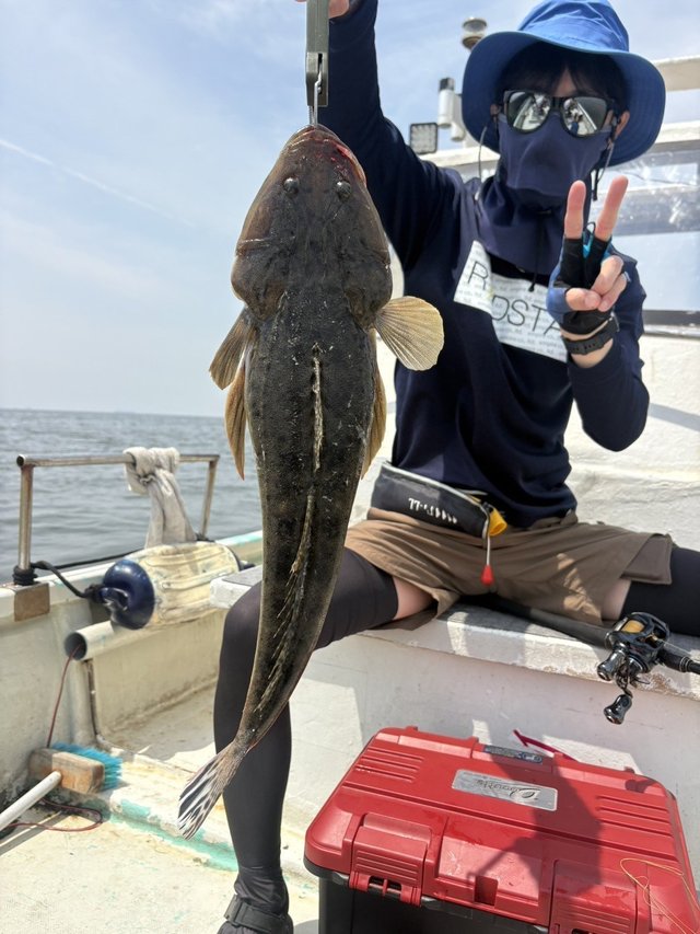 マゴチ