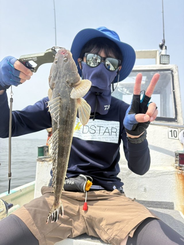 マゴチ