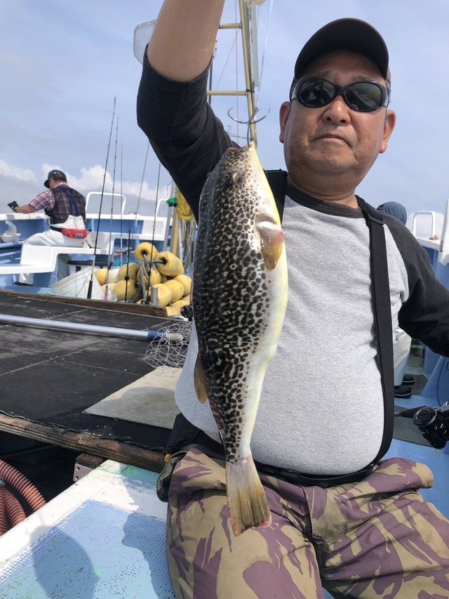 ショウサイフグ