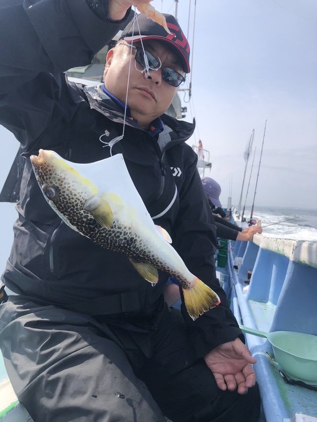 ショウサイフグ