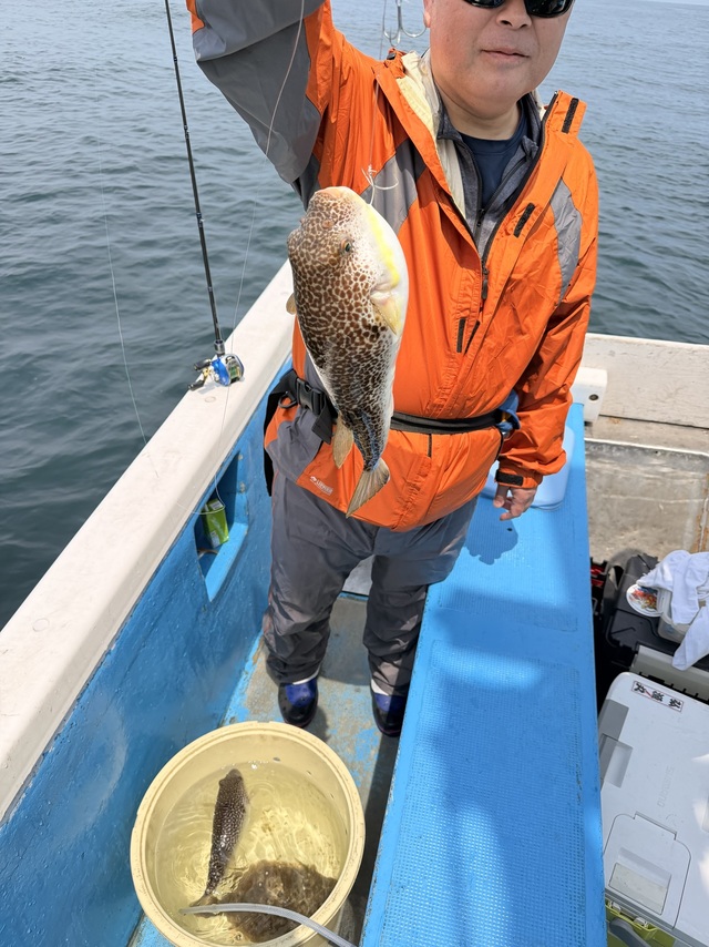 ショウサイフグ