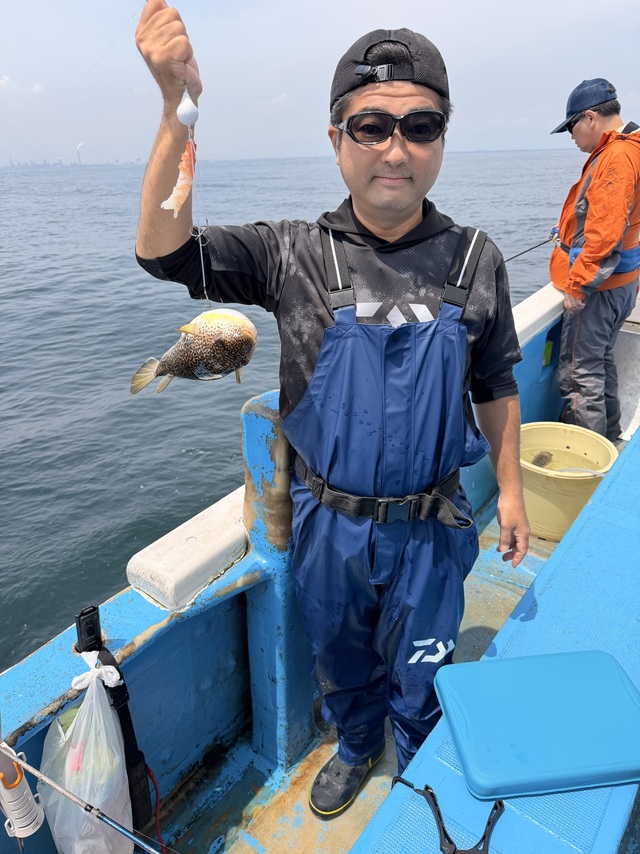 ショウサイフグ