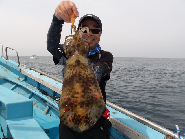関東で釣れたアオリイカの最新釣果、釣り情報【2026年6月】