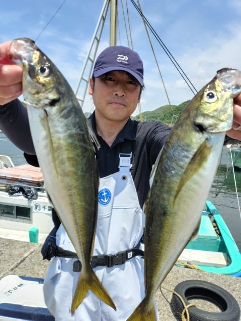 アジ(マアジ)