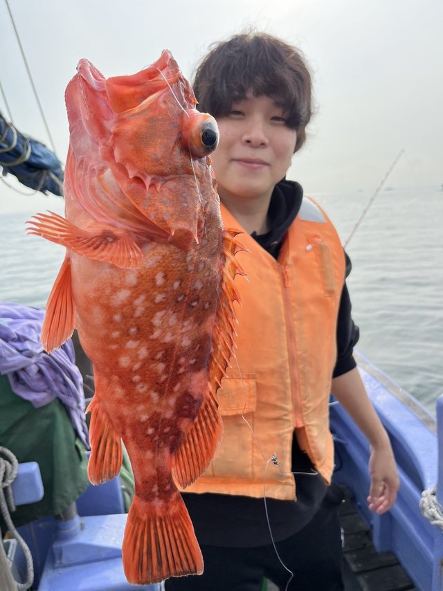 アカムツ・カサゴ