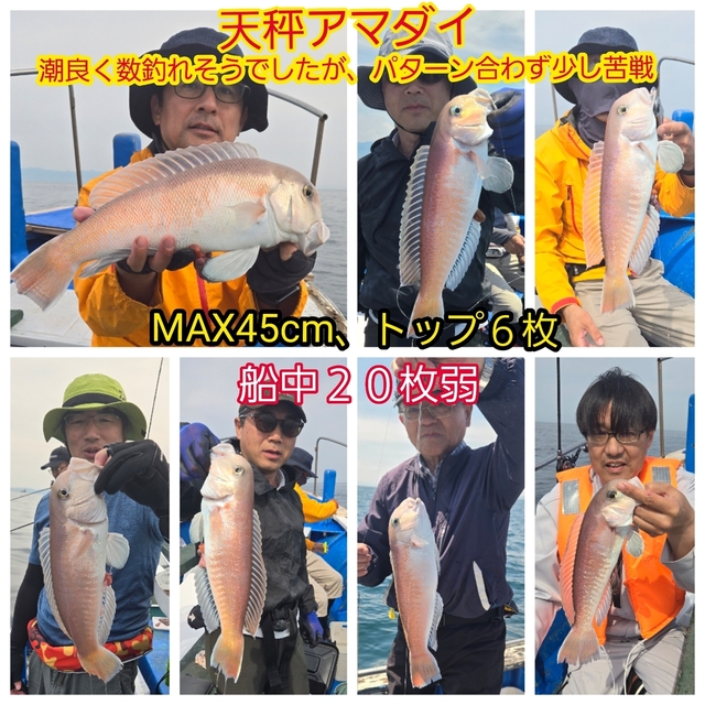 シロアマダイ