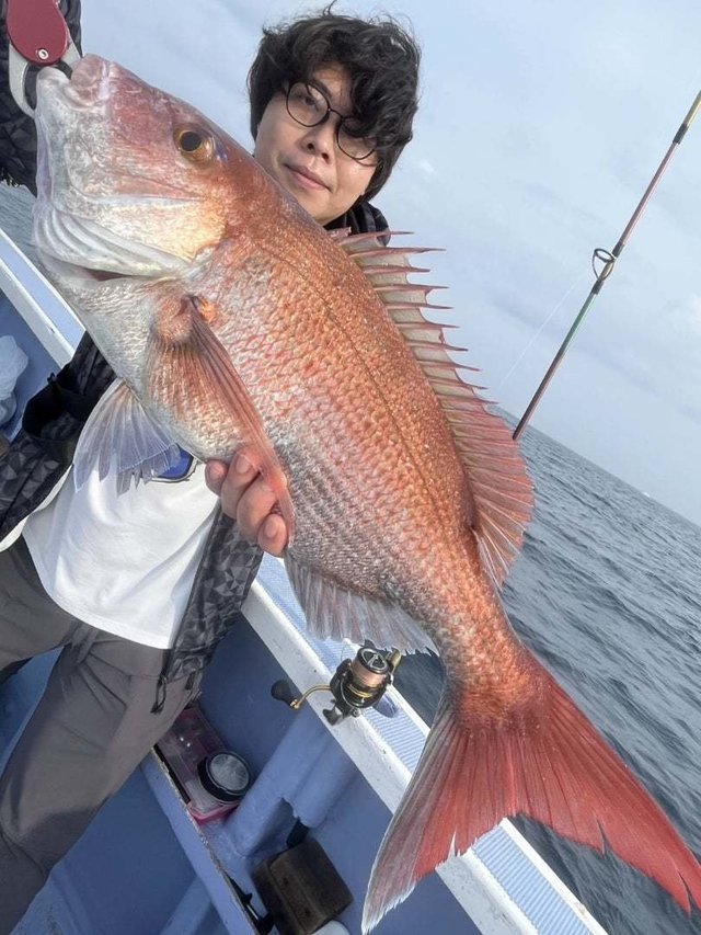 マダイ