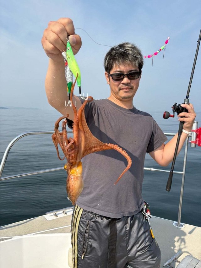 マダコ