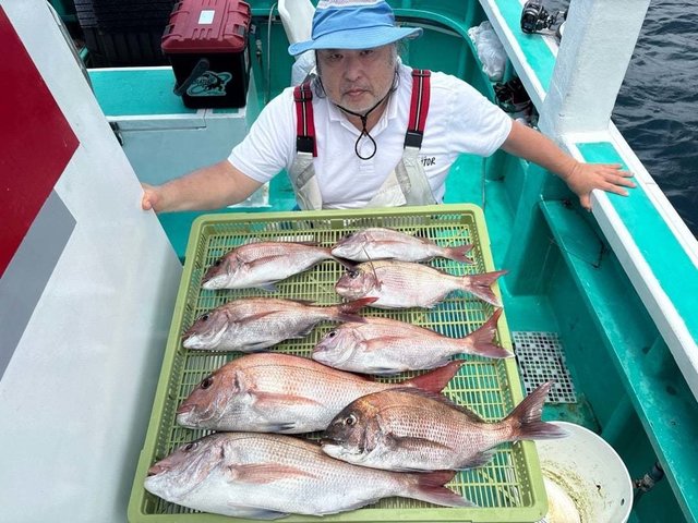 マダイ