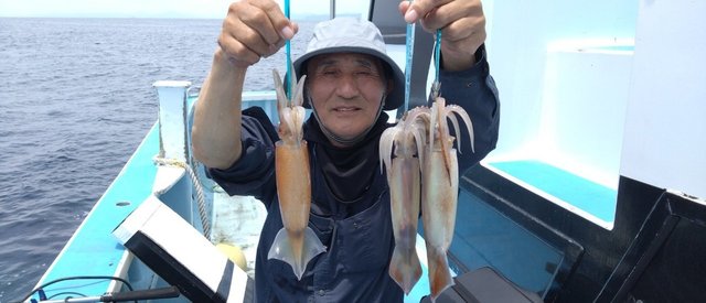 スルメイカ