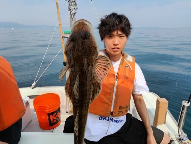 マゴチ
