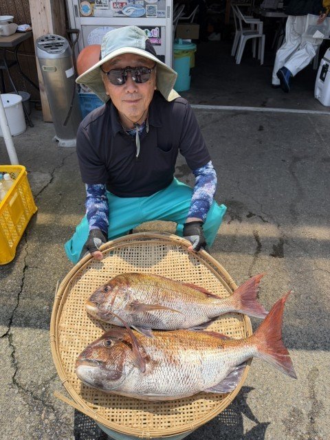 マダイ