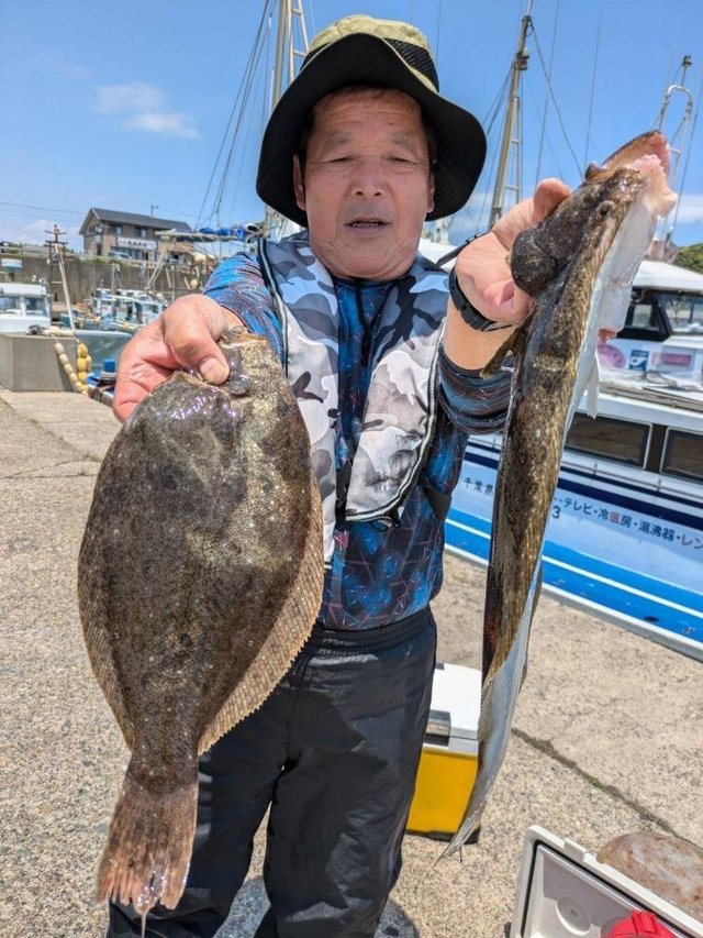 ヒラメ
