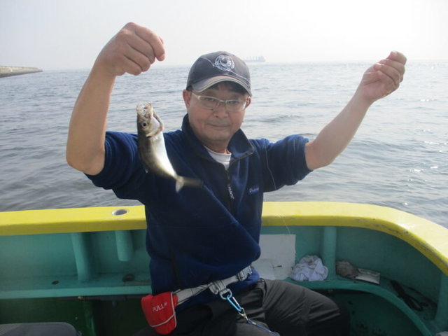 アジ(マアジ)