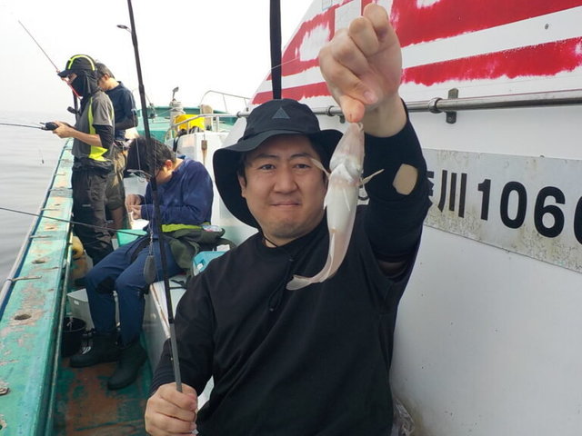 シロギス