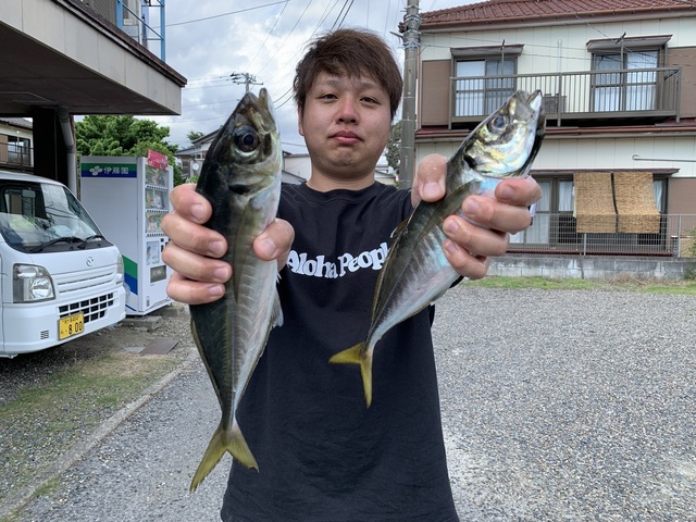 アジ(マアジ)