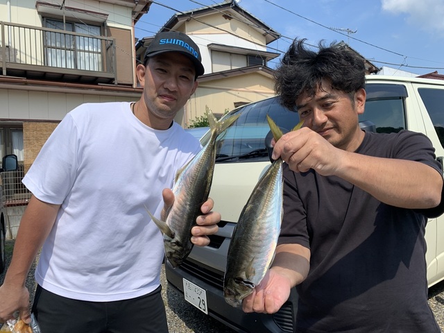 アジ(マアジ)