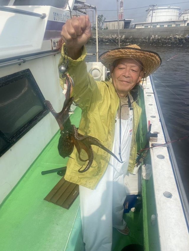 マダコ