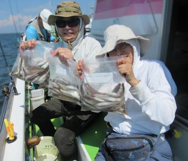 シロギス