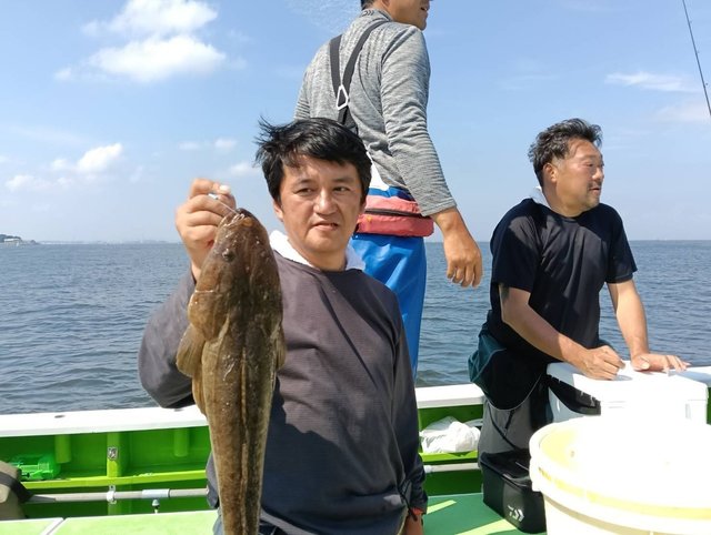 マゴチ