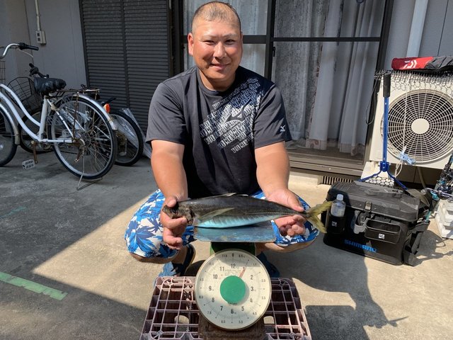 アジ(マアジ)