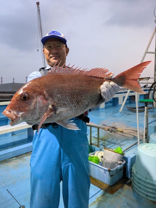 マダイ