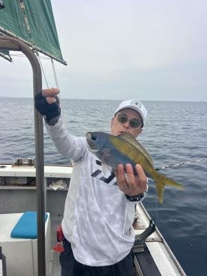 ウメイロ