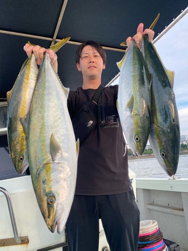 ハマチ(ブリ)