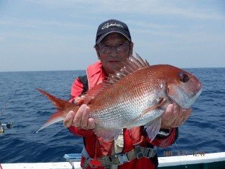 マダイ