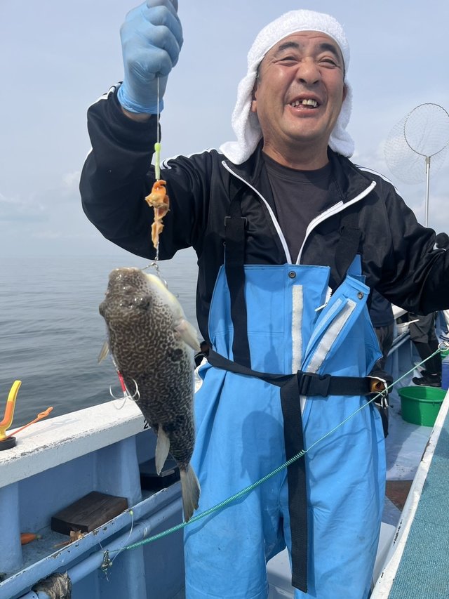 ショウサイフグ