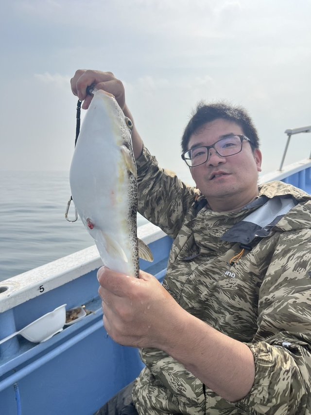 ショウサイフグ