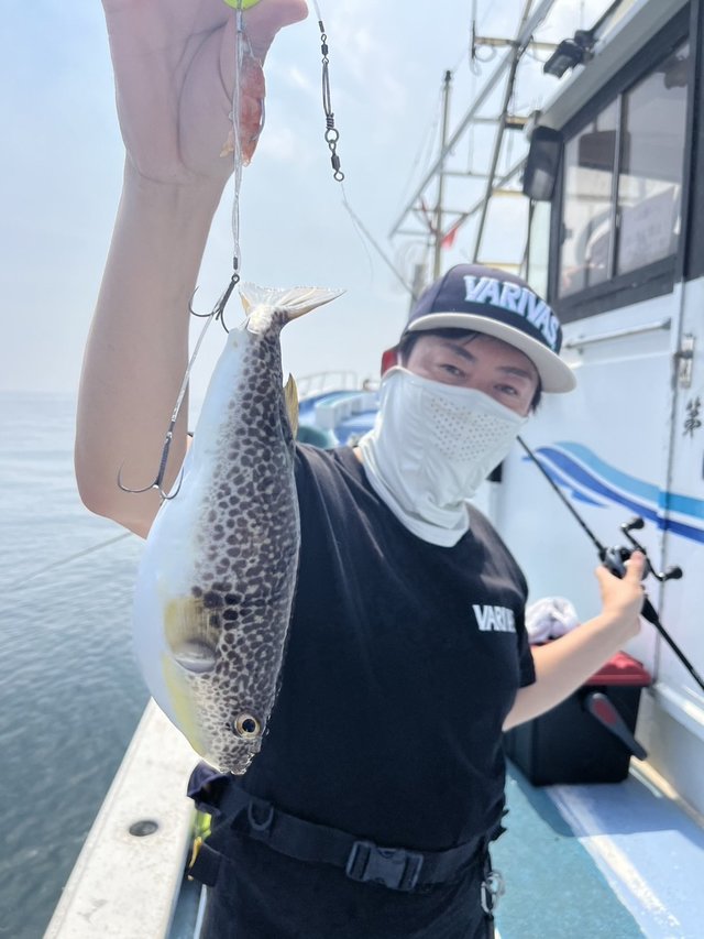 ショウサイフグ