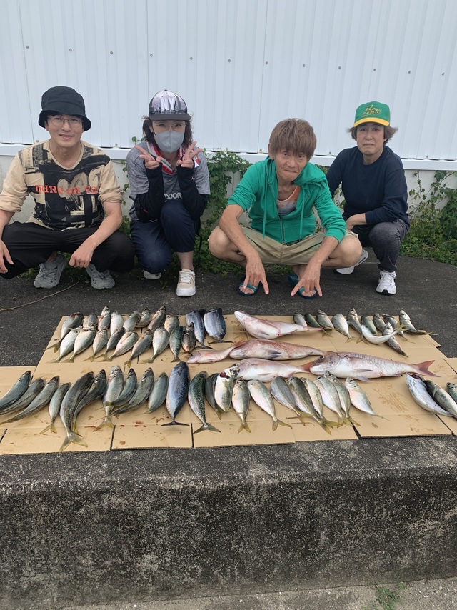 マダイ・マアジ