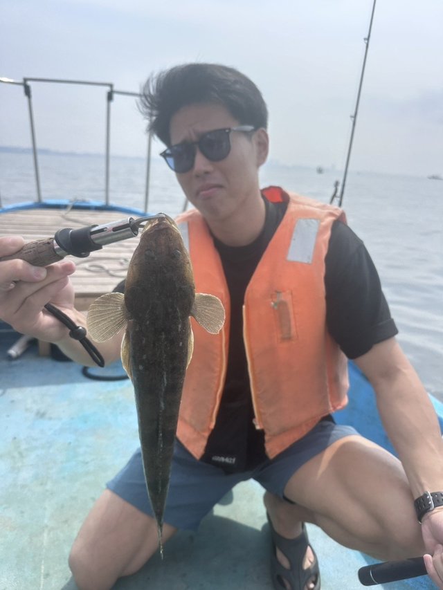 マゴチ