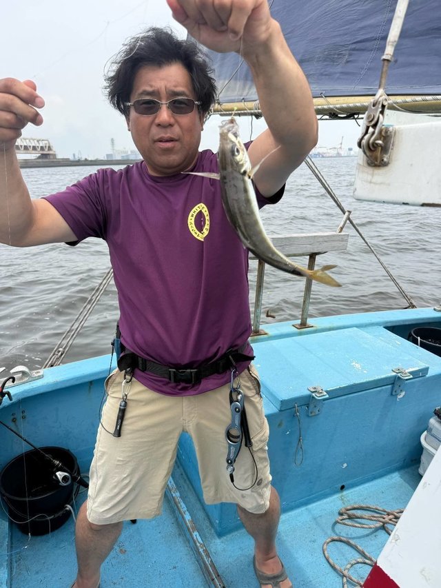 アジ(マアジ)