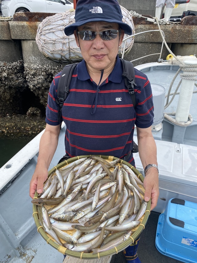 シロギス