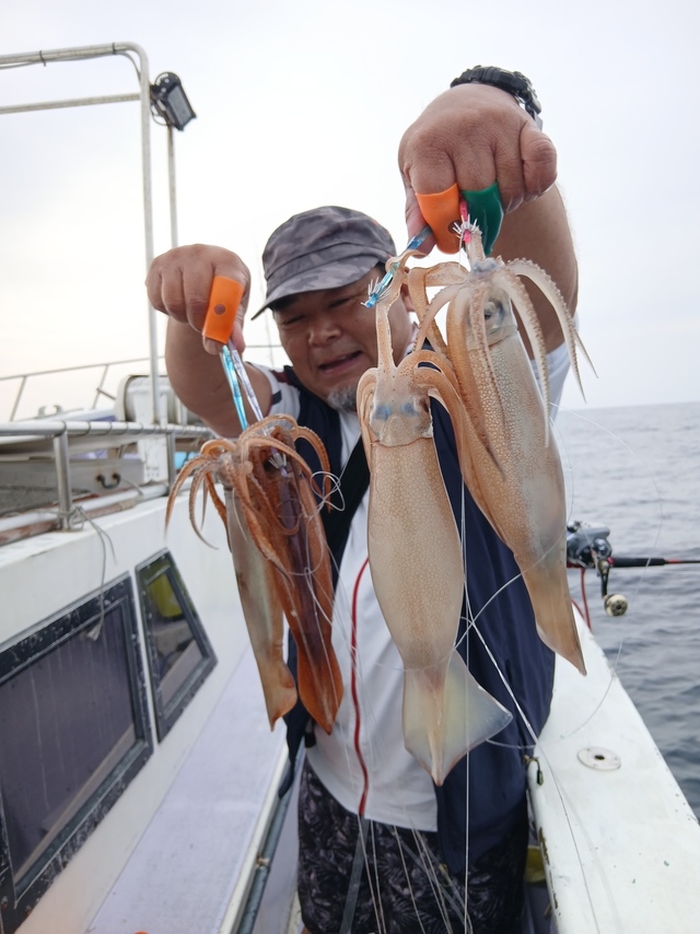 スルメイカ