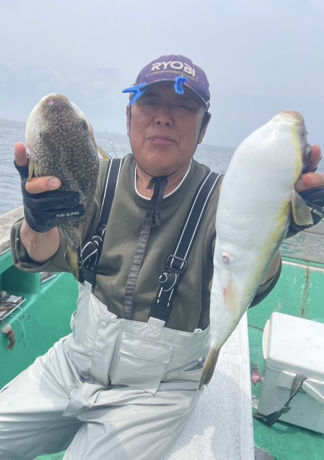 ショウサイフグ